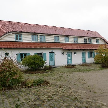 Bernsteinnixe Дранске Экстерьер фото